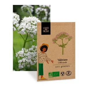 Valériane officinale