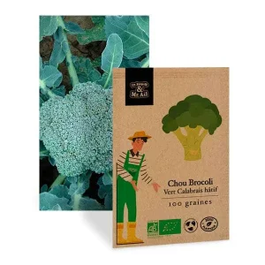 Chou Brocoli Vert Calabrais hâtif