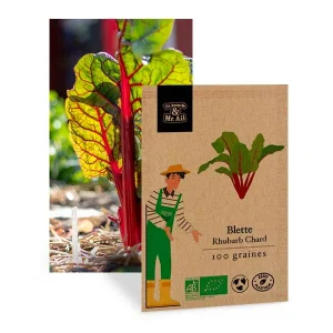 Blette Rhubarb Chard