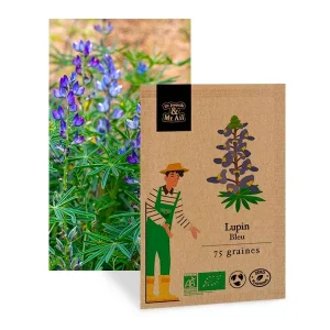 Lupin Bleu