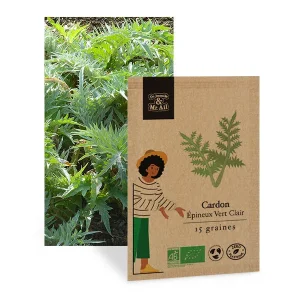 Cardon Épineux Vert Clair